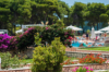 last minute Grecia / Insula Zakynthos