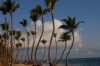 last minute Republica Dominicana / Punta Cana