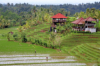 last minute Indonezia / Bali