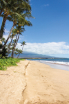 last minute Hawaii / Honolulu