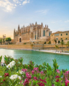 last minute Spania / Mallorca