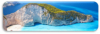 last minute Grecia / Insula Zakynthos