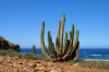 last minute Spania / Tenerife
