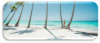 last minute Republica Dominicana / Punta Cana