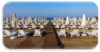 last minute Turcia / Kemer
