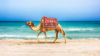 last minute Tunisia / Mahdia