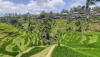 last minute Indonezia / Bali
