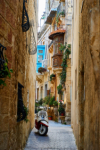 last minute Malta / Mellieha
