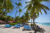 last minute Republica Dominicana / Bavaro