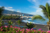 last minute Spania / Tenerife