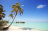 last minute Maldive / Dhaalu Atoll
