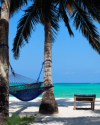 last minute Tanzania / Zanzibar