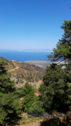 last minute Grecia / Insula Thassos