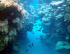 last minute Egipt / Sharm El Sheikh