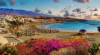 last minute Spania / Tenerife