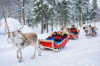 last minute Finlanda / Laponia