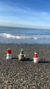 last minute Turcia / Lara