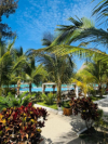 last minute Tanzania / Zanzibar