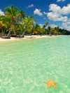 last minute Republica Dominicana / Punta Cana