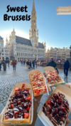 last minute Belgia / Brussels