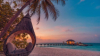 last minute Maldive / Maafushi