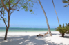last minute Tanzania / Zanzibar
