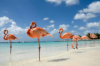 last minute Aruba / Eagle Beach