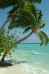 last minute Maldive / Dhaalu Atoll
