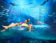  Atlantis The Palm Dubai