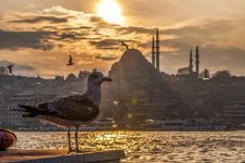  Renaissance Istanbul Polat Bosphorus
