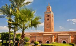  Radisson Blu  Marrakech Carre Eden