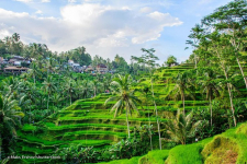  Bali Relaxing Resort & Spa