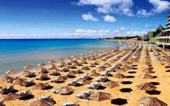 Super Oferta Bulgaria - SUNNY BEACH...