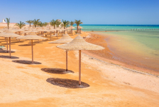  Steigenberger Al Dau Beach