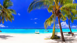  The Westin Turtle Bay Resort & Spa Mauritius