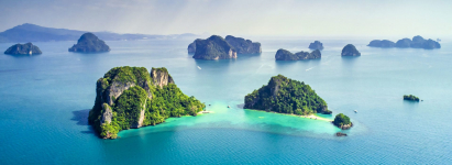  Andaman Cannacia