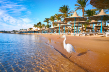  Sunrise Holidays