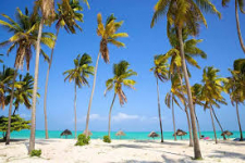  Kimte Beach Lodge