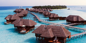  Ellaidhoo Maldives By Cinnamon