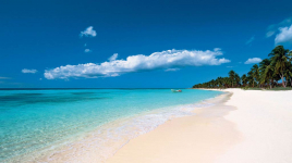  Riu Palace Bavaro
