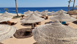 Parrotel Lagoon Resort