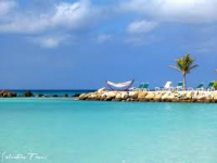  Coconut Inn