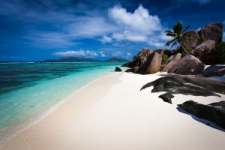  Coral Strand