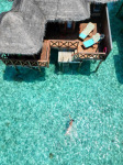  Fihalhohi Island Resort
