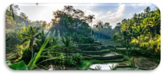  Courtyard By Marriott Bali Nusa Dua Resort