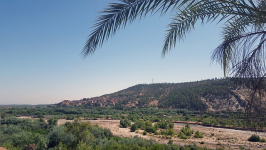  RIAD JIBRIL