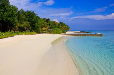  Canareef Maldive Resort