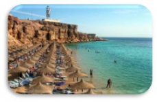  Albatros Royal Grand