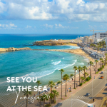  Rehana Sharm Resort 4