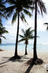  Movenpick Resort Boracay